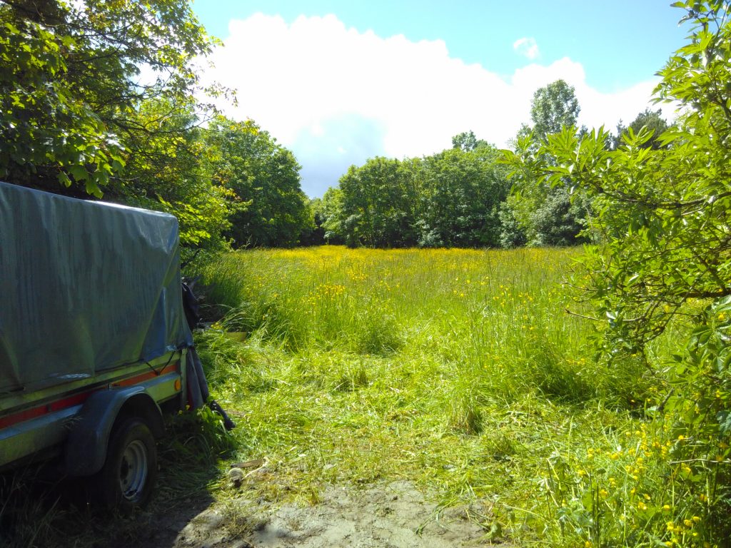 Espace de biodiversité - Moulin de la Planche