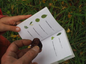 Atelier biodiversité - Espace moulin de la Planche