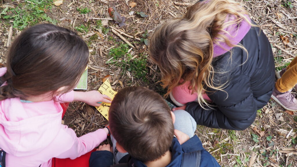 Stage Nature Enfants